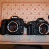 Images: Nikon D850 Vs. Df Size Comparison, RAW and JPG Options